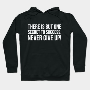 THERE IS BUT ONE SECRET TO SUCCESS. NEVER GIVE UP! funny saying quote Hoodie